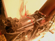 a788781-back of bike.JPG